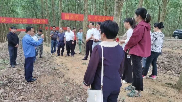 全國割膠冠軍張健給各單位學(xué)員做標準化膠園建設及割膠技術(shù)的經(jīng)驗介紹。.jpg